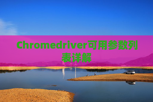 Chromedriver可用参数列表详解