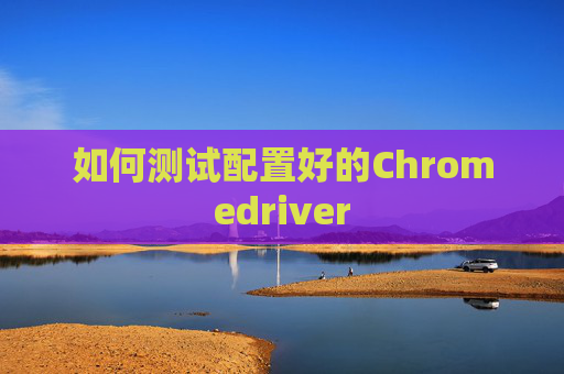 如何测试配置好的Chromedriver